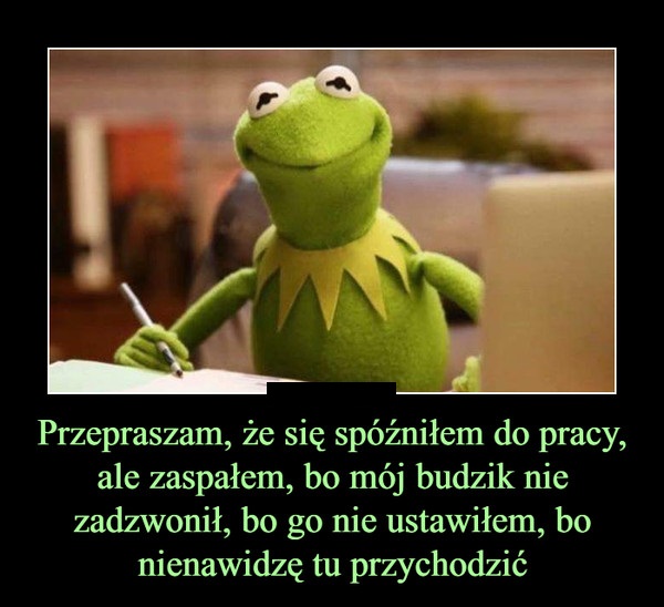 Żaba przychodzi do pracy z przeprosinami